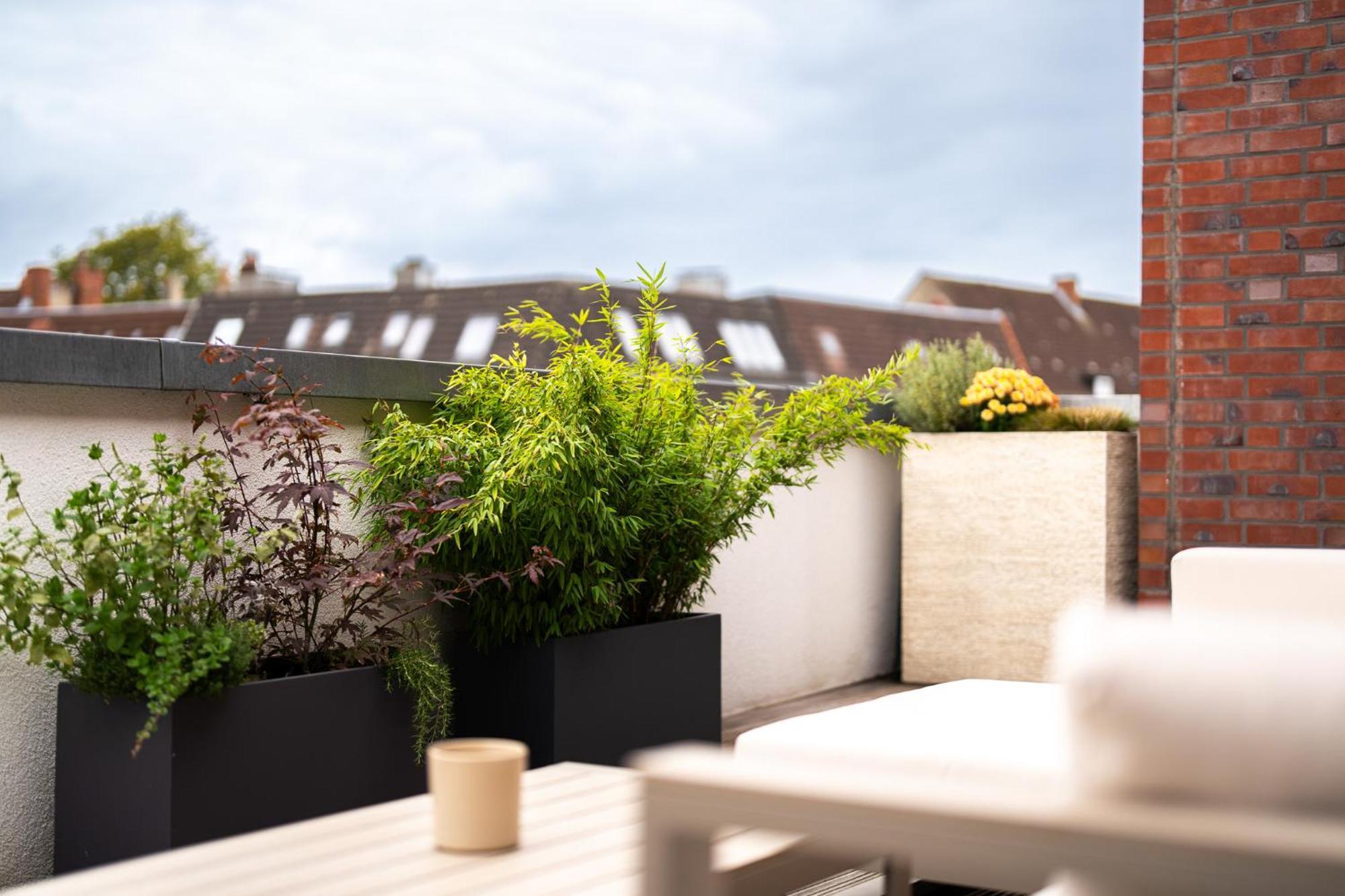 Ferienwohnung Foerdeterrasse Nahe Kiellinie ภายนอก รูปภาพ