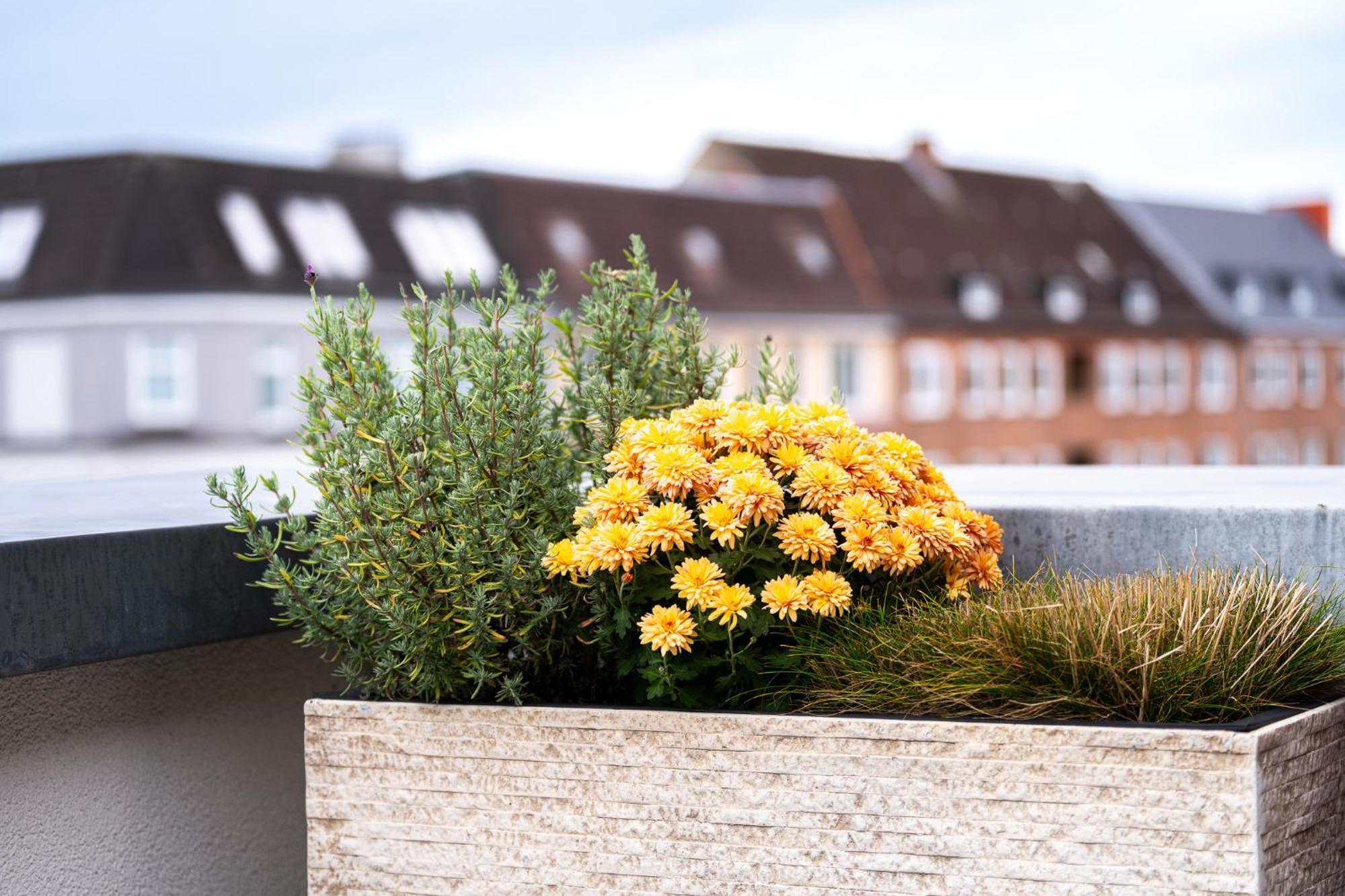 Ferienwohnung Foerdeterrasse Nahe Kiellinie ภายนอก รูปภาพ